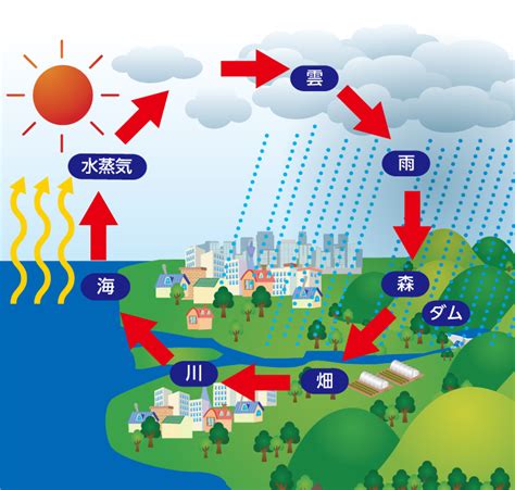 海景台風水|河川から海への水の動き、台風時のモデルを精緻化 －台風がも。